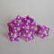 Pure Silver Purple Flowers 6g (Pack of 2)